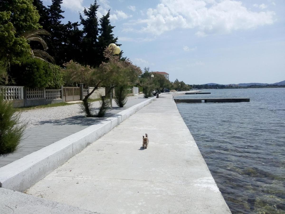 Apartman Franica Zadar Zewnętrze zdjęcie